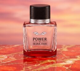 Antonio Banderas Power of Seduction Eau de Toilette 100 ml