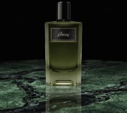 Brioni Essentiel Eau de Parfum 100 ml