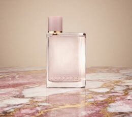 Burberry Eau de Parfum 100 ml
