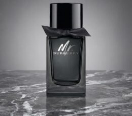 Burberry Mr. Burberry Eau de Toilette 50 ml