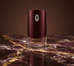 Givenchy Pour Homme Eau de Toilette 100 ml