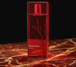 Armand Basi In Red Eau de Parfum Tester 100 ml