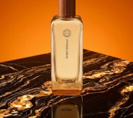 Hermès Hermessence Ambre Narguilé Eau de Toilette 100 ml