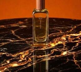 Hermès Hermessence Vétiver Tonka Eau de Toilette 100 ml Tester (With Cap / Standard Box)