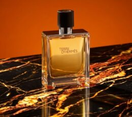 Hermès Terre d'Hermès Eau de Toilette 50 ml