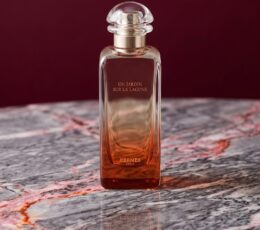 Hermès Un Jardin sur la Lagune Eau de Toilette 100 ml Tester