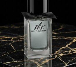 Burberry Mr. Burberry Eau de Toilette 100 ml