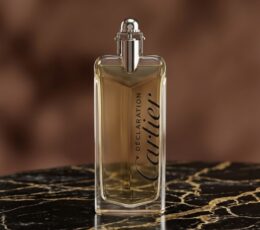 CARTIER DÉCLARATION EAU DE TOILETTE 100 ml